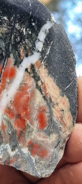 Starry Jasper polished slab SJ140