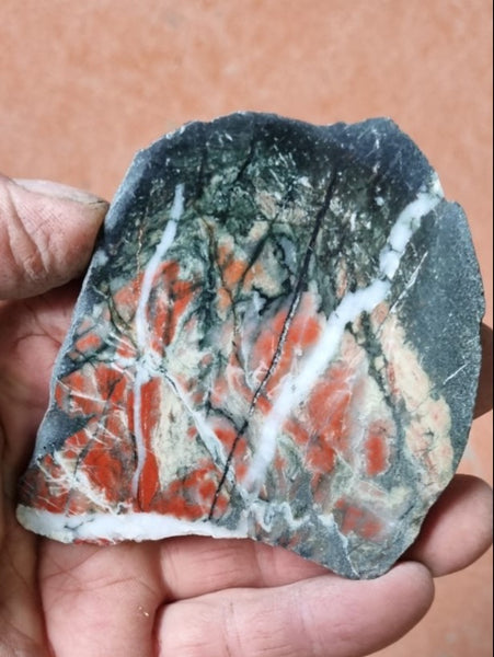 Starry Jasper polished slab SJ140