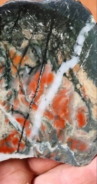 Starry Jasper polished slab SJ140