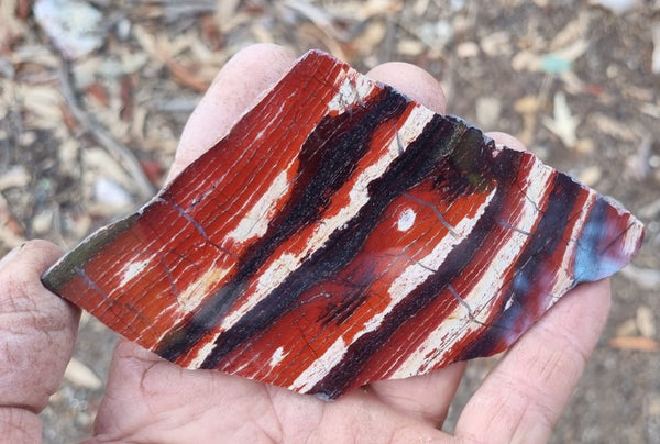 Polished Snakeskin Jasper slab SS168