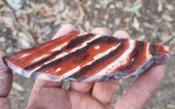 Polished Snakeskin Jasper slab SS168