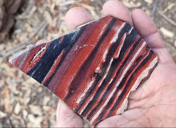 Polished Snakeskin Jasper slab SS169