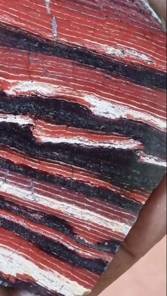 Polished Snakeskin Jasper slab SS169