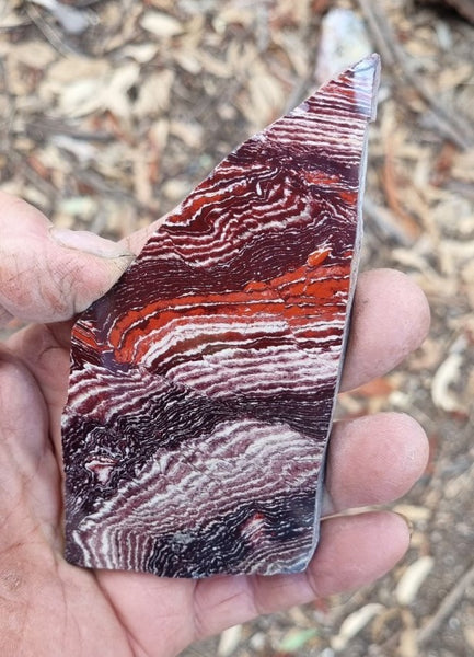 Polished Snakeskin Jasper slab SS171