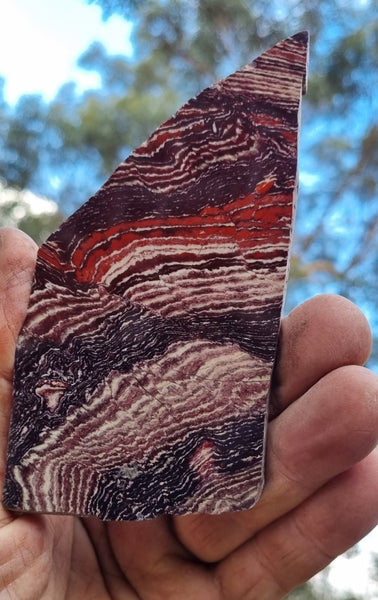 Polished Snakeskin Jasper slab SS171