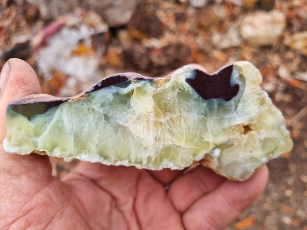 Polished Prehnite PR118