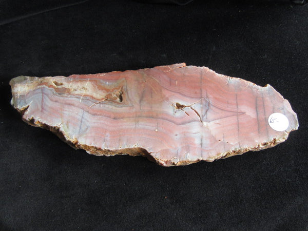 Polished Pilbara Agate PA223