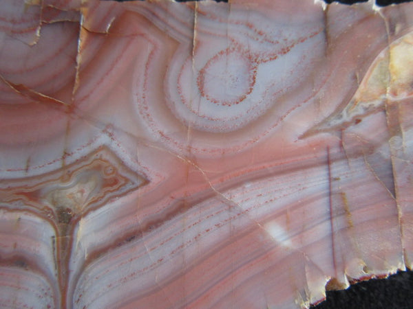 Polished Pilbara Agate PA223