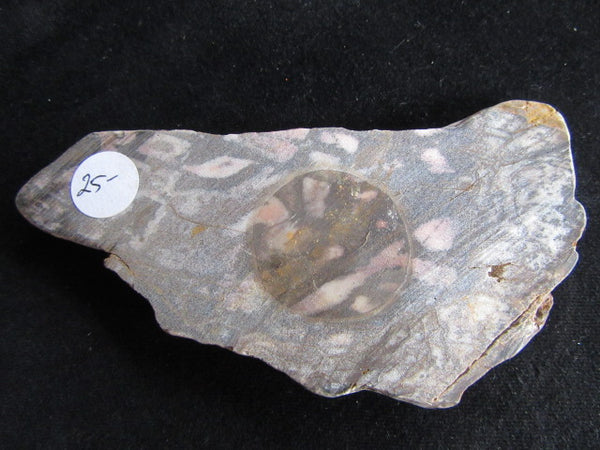 Polished Outback Jasper slab OJ129