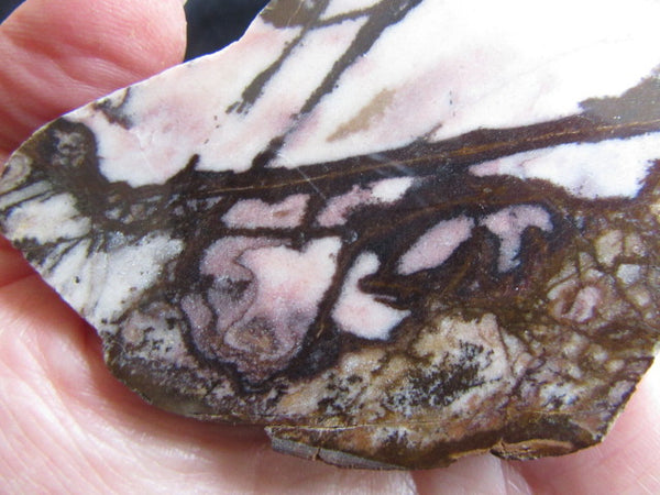 Polished Outback Jasper slab OJ129