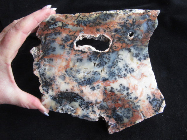 Polished Dendritic Opal DO126