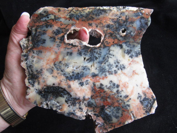 Polished Dendritic Opal DO126