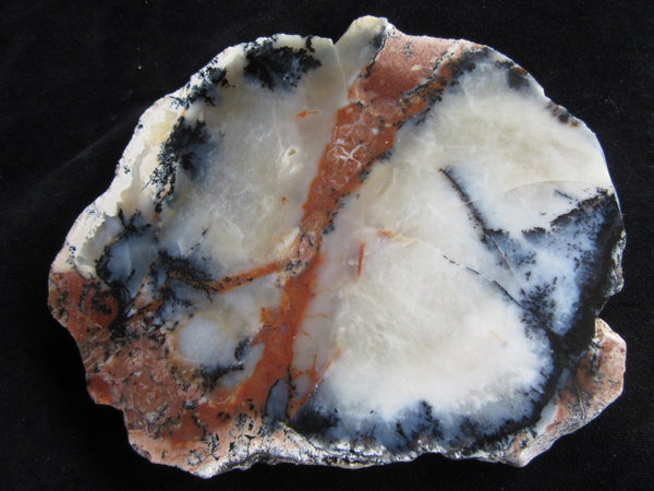 Polished Dendritic Opal DO129