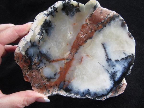 Polished Dendritic Opal DO129