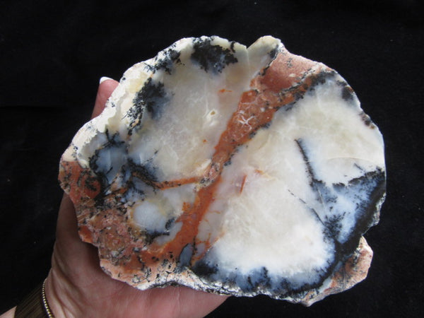 Polished Dendritic Opal DO129