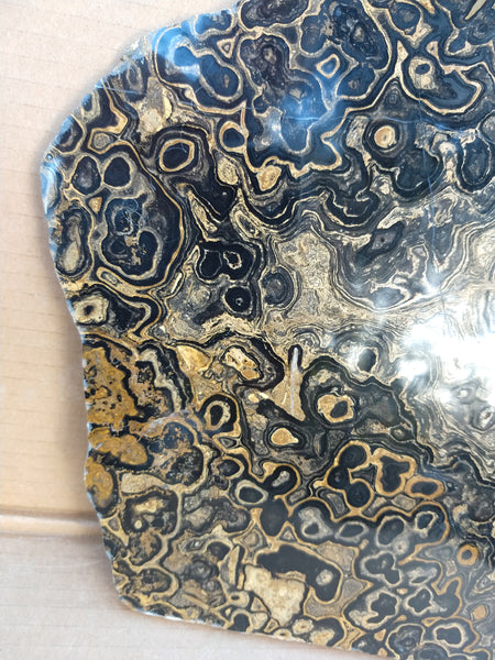 Polished fossil stromatolite from Bolivia. BST103
