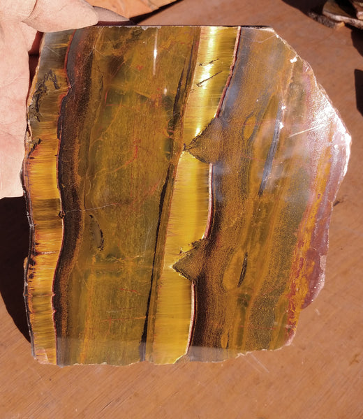 Polished Tiger Eye TE231