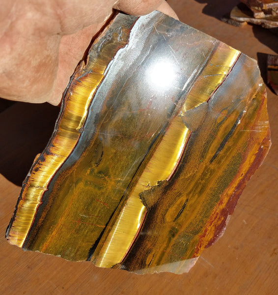 Polished Tiger Eye TE231