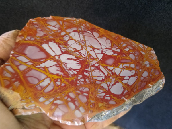 Polished Noreena Jasper. NJ377