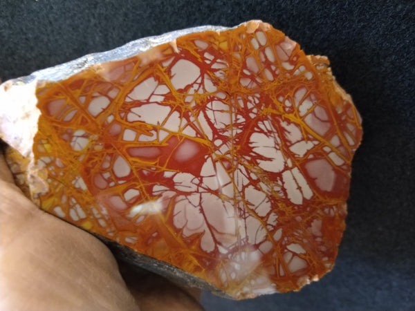 Polished Noreena Jasper. NJ377