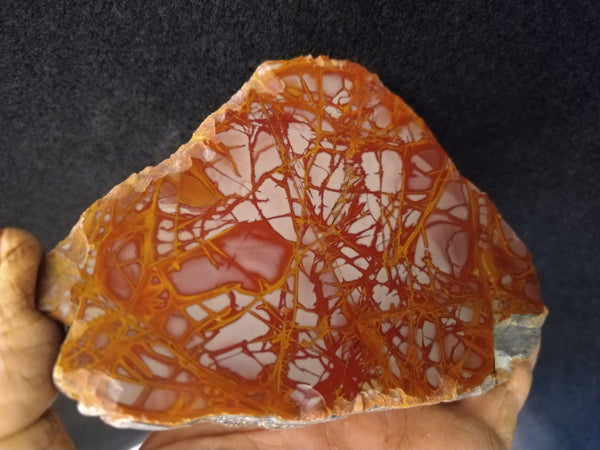 Polished Noreena Jasper. NJ378