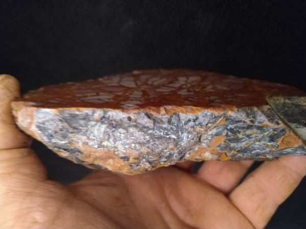 Polished Noreena Jasper. NJ378