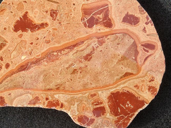 Polished fossil Oncolite. ONC106