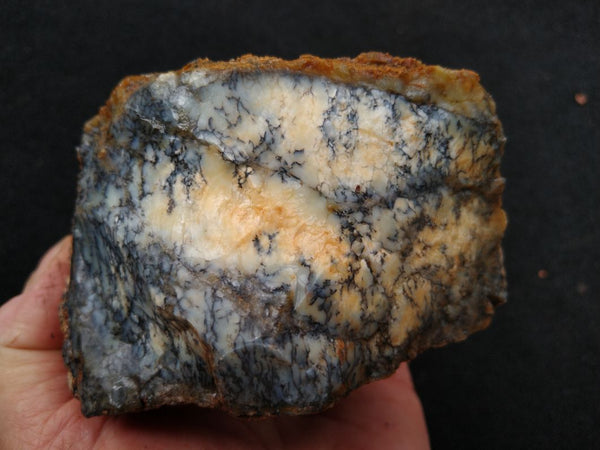 Dendritic Opal  rough.  DOR 157