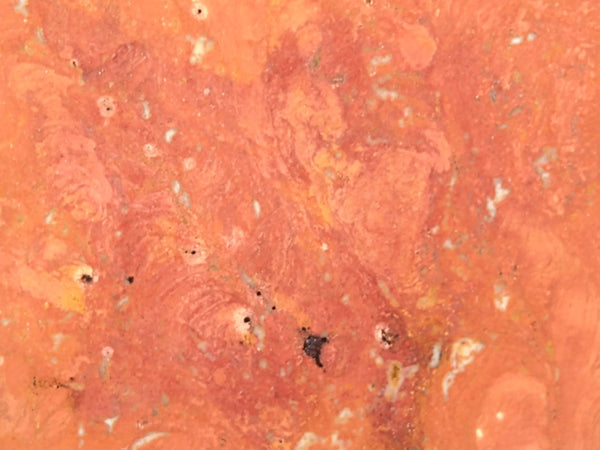 Polished fossil stromatolite. Carawine Dolomite CD104