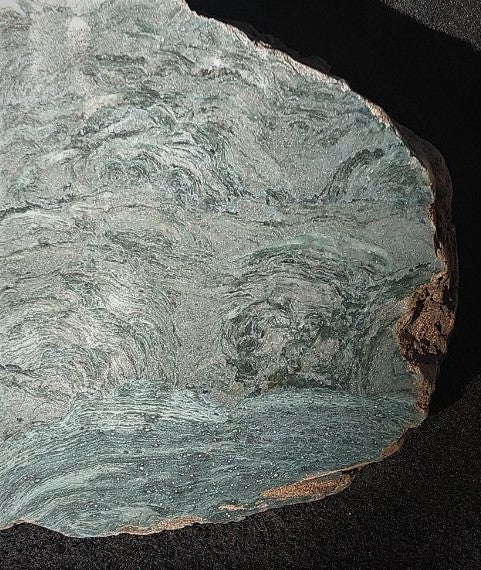 Polished fossil stromatolite. Alcheringa narrina. ALC156