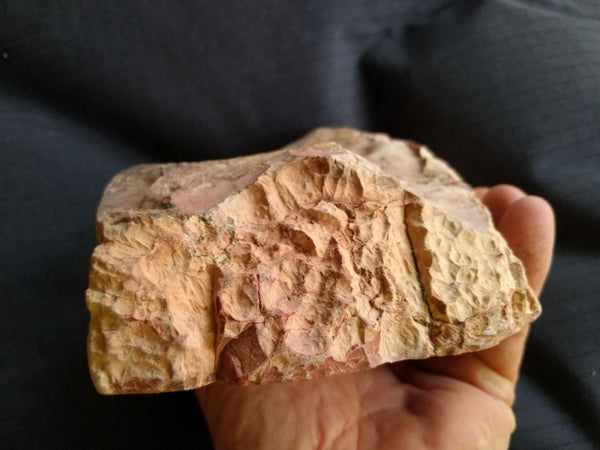 Polished fossil stromatolite. Wyloo Group. WG104