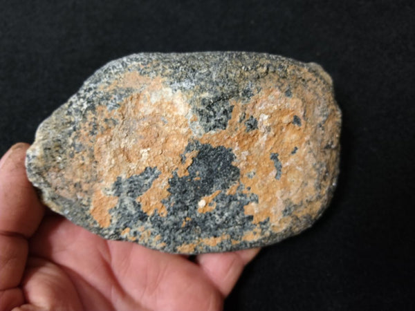 Polished Orbicular Granite. OG154