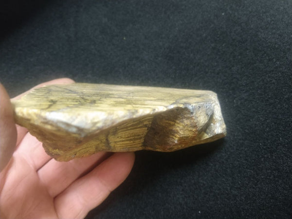 Polished fossil stromatolite. Strelley Pool Formation SPF120