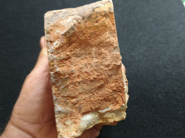 Polished fossil stromatolite. Eucapsiphora leakensis.  EUC148