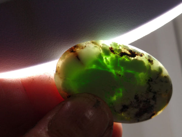 LCC103 Lime Magnesite cabochon.