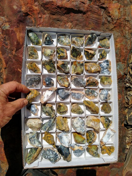 Box of Dendritic Opal rough.  DOR 187