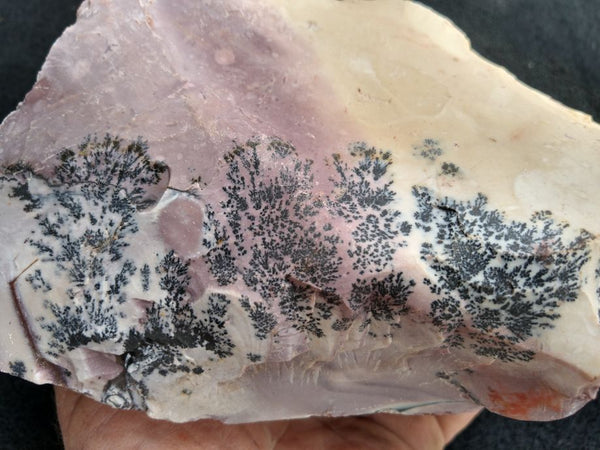 Dendritic Lilac Mookaite rough.  MKR 173