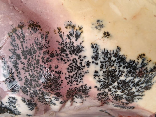 Dendritic Lilac Mookaite rough.  MKR 173