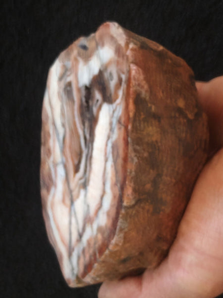 Polished Pilbara Agate PA255