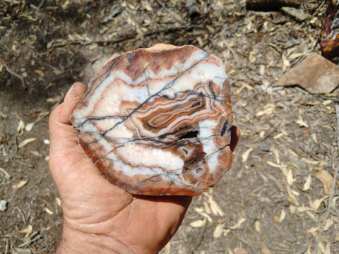 Polished Pilbara Agate PA255