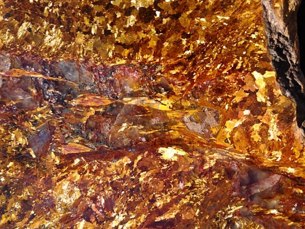 Polished Golden Amphibolite GA117