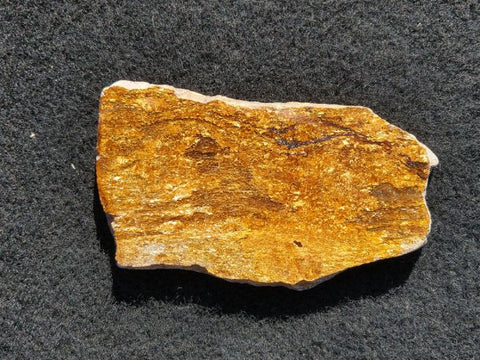 Polished Golden Amphibolite GA118