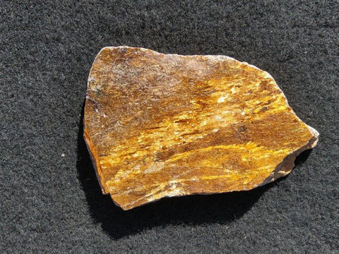 Polished Golden Amphibolite GA119