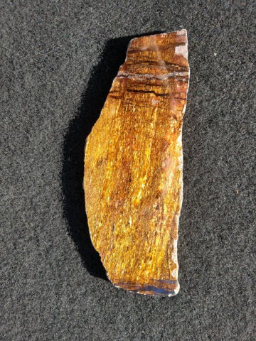 Polished Golden Amphibolite GA120