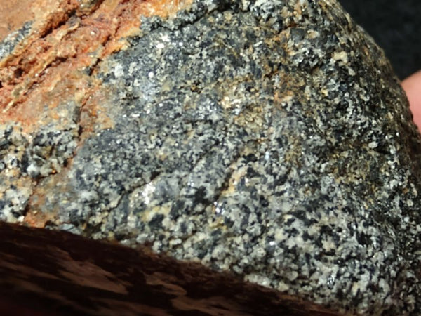 Polished Orbicular Granite. OG164