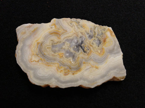 Polished Crazy Lace Agate CLA240