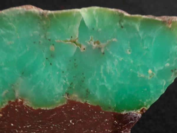 Polished Chrysoprase CH374