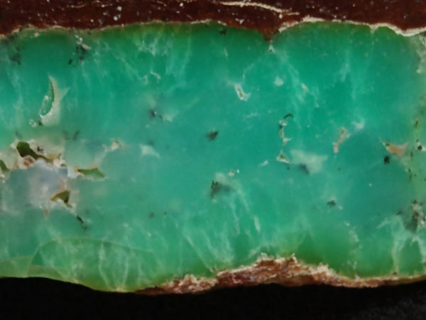 Polished Chrysoprase CH375