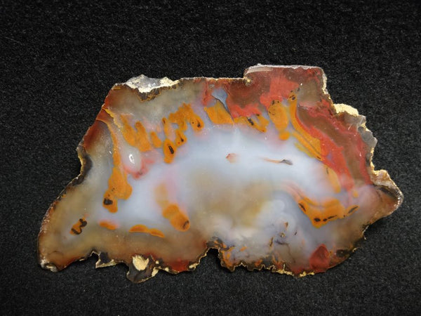 Polished Brazilian Agate . BA117