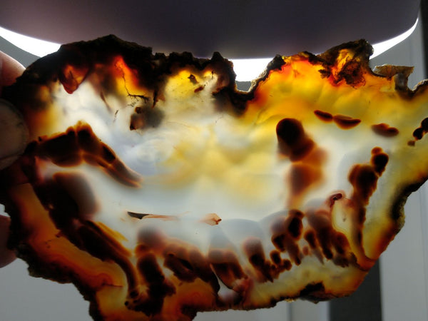 Polished Brazilian Agate . BA117
